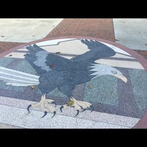 Meet your Posher, Devin